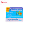 Mycitracin Plus Ointment 14.17 gm