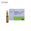 Gravibinan Injection 2 mL